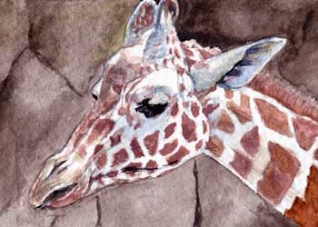 "Giraffe" by Beverly Larson, Oregon WI - Watercolor - SOLD